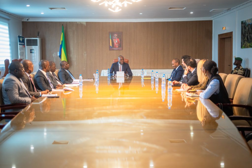 Monsieur Mark-Alexandre DOUMBA, Ministre de l'Economie et des Participations, en audience avec une délégation de l’Hôpital Américain de Paris